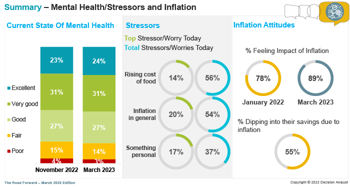 Mental Health/Stressors and Inflation 